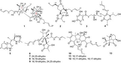 Structurally Various Sorbicillinoids From an Endophytic Fungus Acremonium citrinum SS-g13